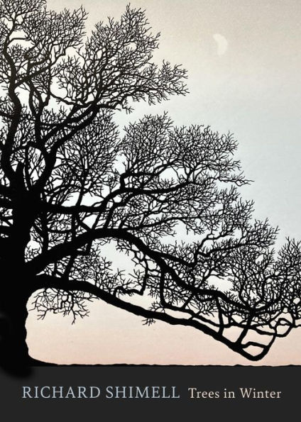 Trees Winter: A beautiful book for anyone who loves printmaking and nature