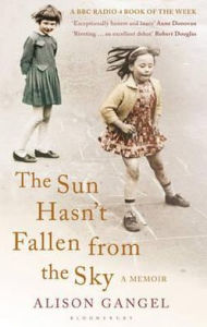 Title: The Sun Hasn't Fallen from the Sky: A Memoir, Author: Alison Gangel