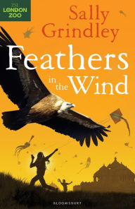 Title: Feathers in the Wind, Author: Sally Grindley