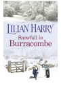 Snowfall in Burracombe: Curl up this winter with this gorgeously festive read!