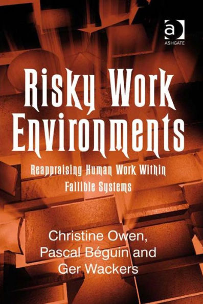 Risky Work Environments: Reappraising Human Work Within Fallible Systems