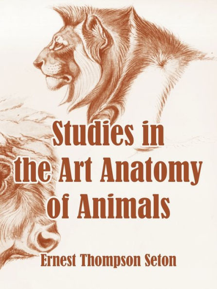 Studies in the Art Anatomy of Animals