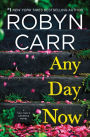 Any Day Now (Sullivan's Crossing Series #2)