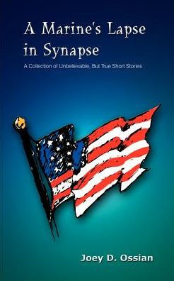 A Marine's Lapse in Synapse: A Collection of Unbelievable, But True Short Stories