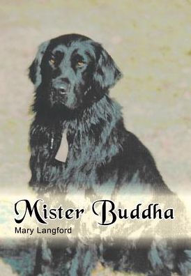 Mister Buddha
