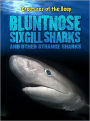 Bluntnose Sixgill Sharks and Other Strange Sharks