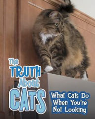 Title: The Truth about Cats: What Cats Do When You're Not Looking, Author: Mary Colson