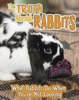 The Truth about Rabbits: What Rabbits Do When You're Not Looking