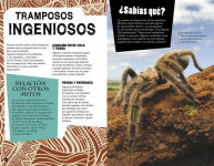 Alternative view 2 of Mitos y leyendas de África