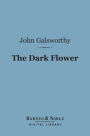 The Dark Flower (Barnes & Noble Digital Library)