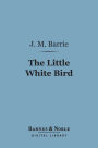 The Little White Bird (Barnes & Noble Digital Library)