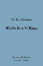 Birds in a Village (Barnes & Noble Digital Library)
