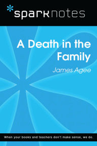 Title: A Death in the Family (SparkNotes Literature Guide), Author: SparkNotes
