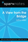 A View from the Bridge (SparkNotes Literature Guide)