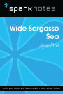Wide Sargasso Sea (SparkNotes Literature Guide)