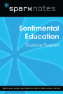 Sentimental Education (SparkNotes Literature Guide)