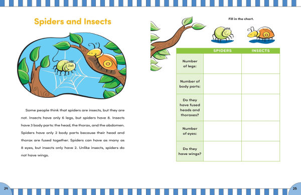 Reading Comprehension: Grade