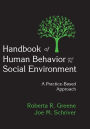 Handbook of Human Behavior and the Social Environment: A Practice-Based Approach / Edition 1