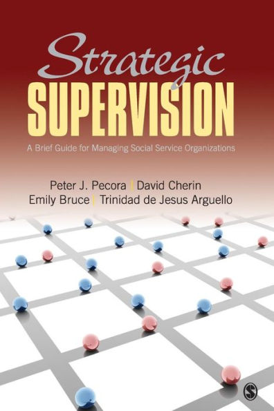 Strategic Supervision: Personnel Management in Human Service / Edition 1