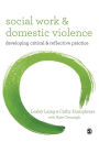 Social Work and Domestic Violence: Developing Critical and Reflective Practice