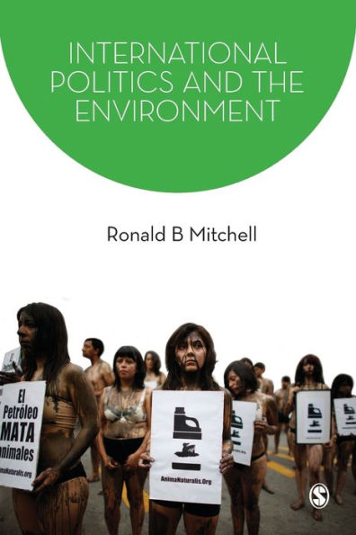 International Politics and the Environment / Edition 1