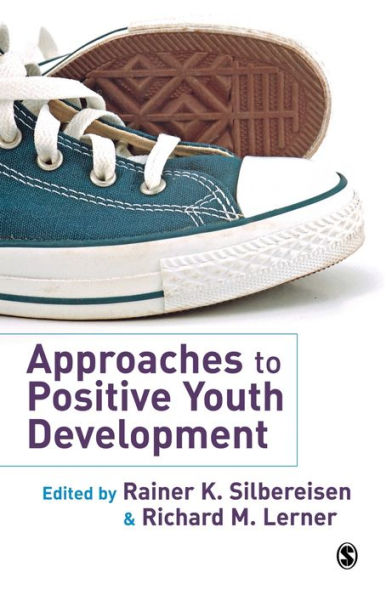 Approaches to Positive Youth Development / Edition 1