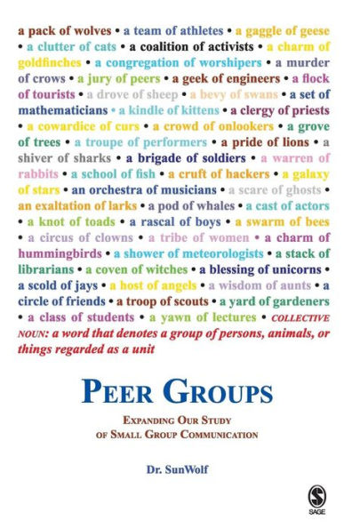 Peer Groups: Expanding Our Study of Small Group Communication / Edition 1