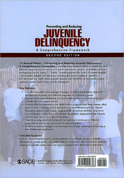 Preventing and Reducing Juvenile Delinquency: A Comprehensive Framework / Edition 2