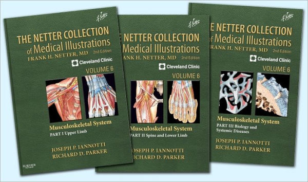 The Netter Collection of Medical Illustrations: Musculoskeletal System Package: Volume 6 / Edition 2