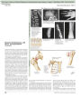 Alternative view 3 of The Netter Collection of Medical Illustrations: Musculoskeletal System, Volume 6, Part III - Biology and Systemic Diseases / Edition 2
