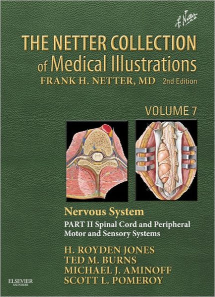 The Netter Collection of Medical Illustrations: Nervous System, Volume 7, Part II - Spinal Cord and Peripheral Motor and Sensory Systems / Edition 2