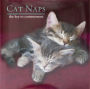 Cat Naps: The Key to Contentment