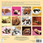 Alternative view 2 of 2015 Pooped Puppies Wall Calendar