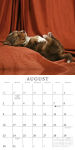 Alternative view 3 of 2015 Pooped Puppies Wall Calendar