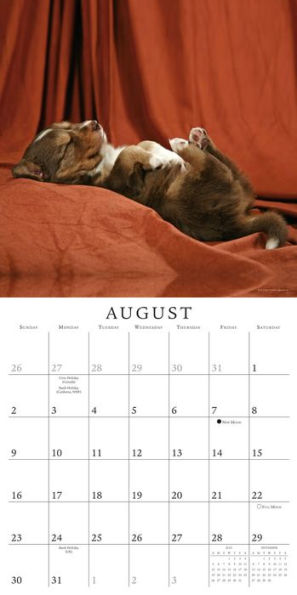 2015 Pooped Puppies Wall Calendar