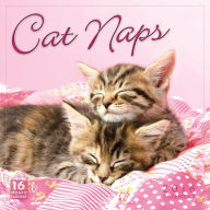 Title: 2016 Cat Naps Wall Calendar, Author: Sellers Publishing