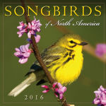 Alternative view 1 of 2016 Songbirds of North America Wall Calendar