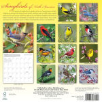 Alternative view 2 of 2016 Songbirds of North America Wall Calendar