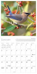 Alternative view 3 of 2016 Songbirds of North America Wall Calendar