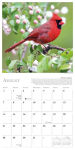 Alternative view 4 of 2016 Songbirds of North America Wall Calendar