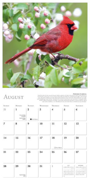 2016 Songbirds of North America Wall Calendar