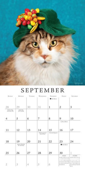 2016 Cats in Hats Mini Wall Calendar