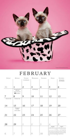 2016 Cats in Hats Mini Wall Calendar