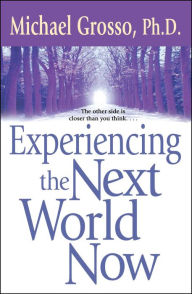 Title: Experiencing the Next World Now, Author: Michael Grosso Ph.D.