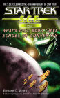 Star Trek S.C.E. #63: What's Past #3: Echoes of Coventry
