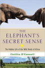 The Elephant's Secret Sense: The Hidden Life of the Wild Herds of Africa