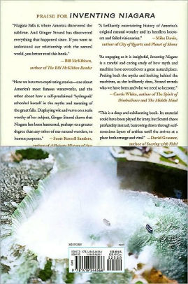 Inventing Niagara Beauty And Lies By Ginger Strand Inventing Niagara Beauty And Lies