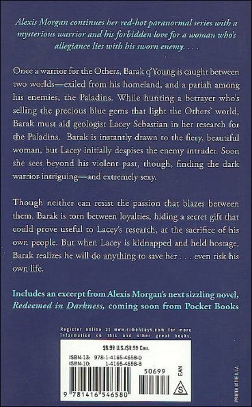 Darkness Reborn (Paladin Series #3)