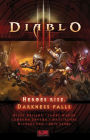 Alternative view 2 of Diablo III: Heroes Rise, Darkness Falls
