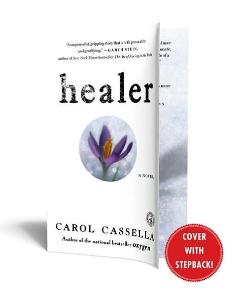 Healer: A Novel